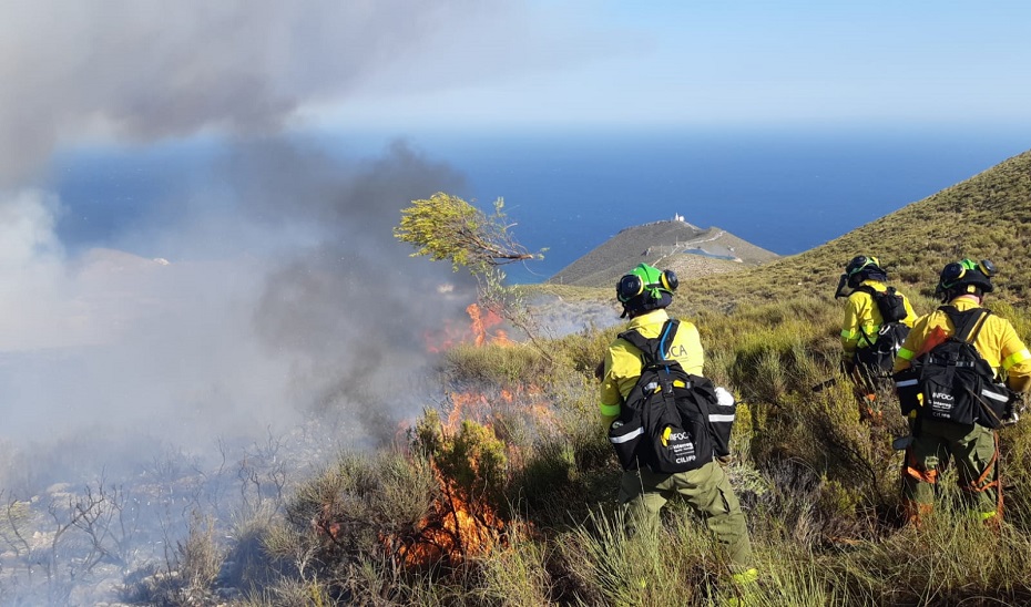 Trabajos de extinción de los profesionales del Plan Infoca en el incendio forestal de Gualchos (Granada) (Foto Plan Infoca)